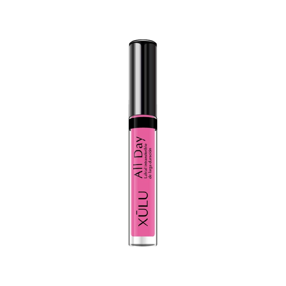 Z24919 LABIAL LARGA DURACION ALL DAY N*19 Rosa Frenesí