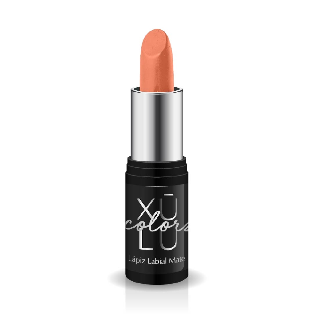 Z251024 Lápiz Labial Mate M24